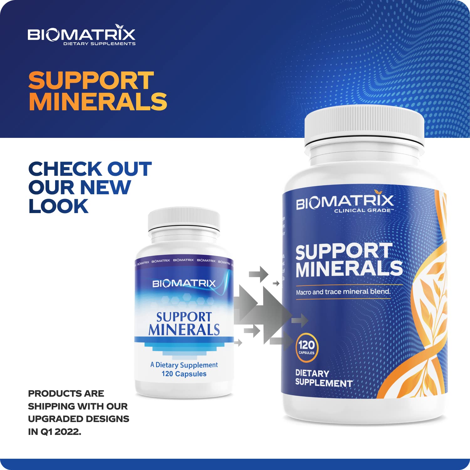BioMatrix Mineral Supplement for Men and Women, Chelated Minerals | Iron-Free, Calcium, Magnesium, Copper, Zinc, Vitamin D, Iodine | Veggie Caps, 30-Day Supply BioMatrix Au supplements