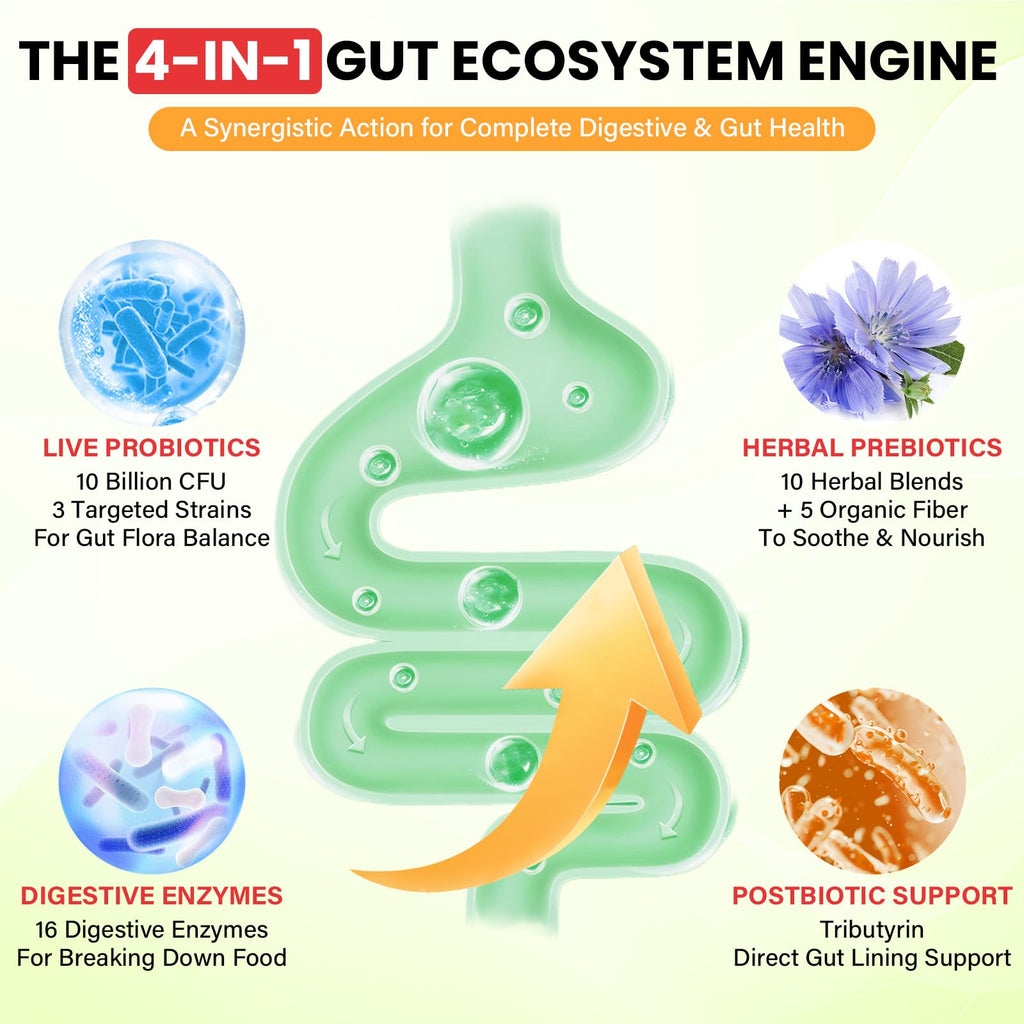 Probiotics for Women and Men, with 15 Prebiotics, 16 Digestive Enzymes & Postbiotics - Probiotics for Digestive Health & Bloating, Probiotic Gummies for Gut Health & Immunity, Sugar-Free, 60 Gummies Fletorra Au supplements
