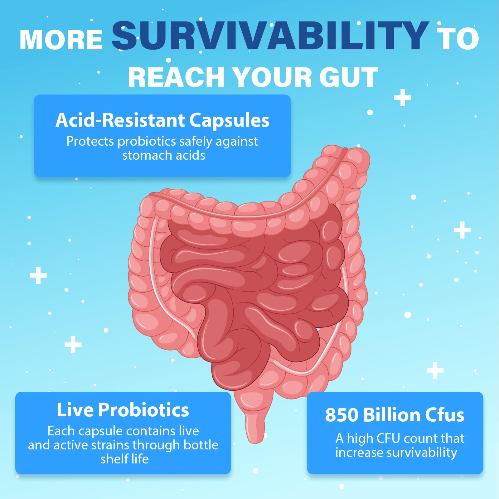 Probiotics for Men, Advanced 50+ Mens Probiotic, Comprehensive Gut & Energy Support with 850 Billion CFU, 1800mg Prebiotics Fiber – Tailored Wellness mens probiotics
