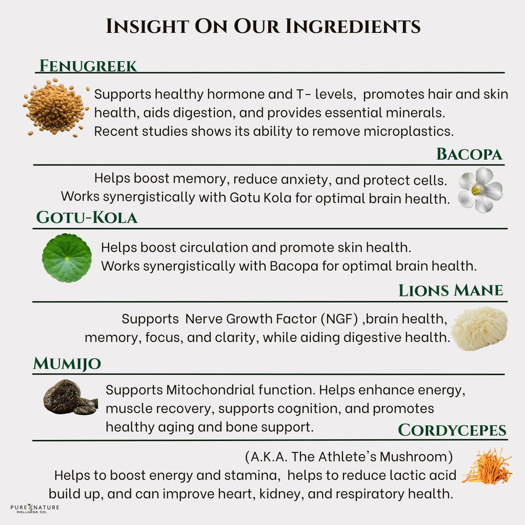 Focus + Energy + Performance Support-6-in-1 Mushroom Nootropic & Mitochondrial Complex-Advanced Brain Supplement-Natural Energy-Caffeine Free Biohack with Lion’s Mane,Cordyceps,Mumijo,Fenugreek Pure Nature Wellness Co. Au supplements