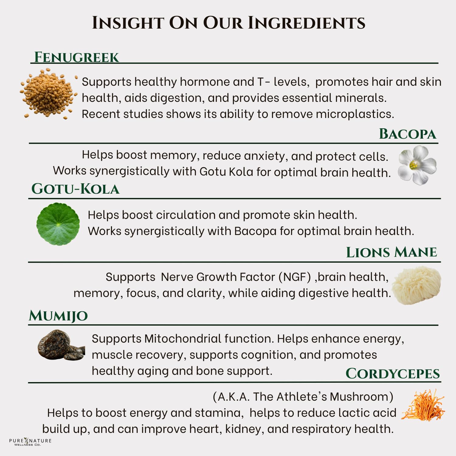 Focus + Energy + Performance Support-6-in-1 Mushroom Nootropic & Mitochondrial Complex-Advanced Brain Supplement-Natural Energy-Caffeine Free Biohack with Lion’s Mane,Cordyceps,Mumijo,Fenugreek Pure Nature Wellness Co. Au supplements