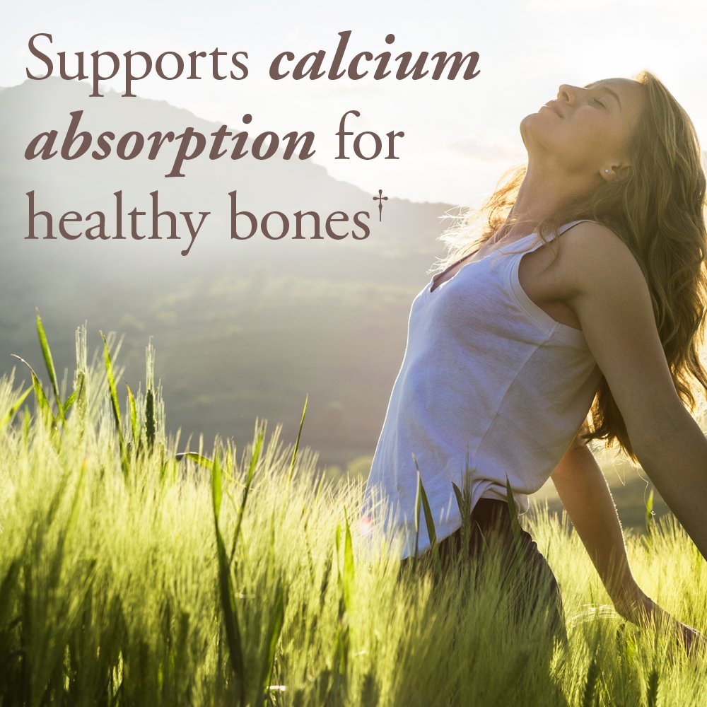 Garden of Life Organics Vegan Vitamin D3 Chewable - Raspberry Lemon, 2,000 IU (50mcg) Whole Food Vitamin D3 from Lichen