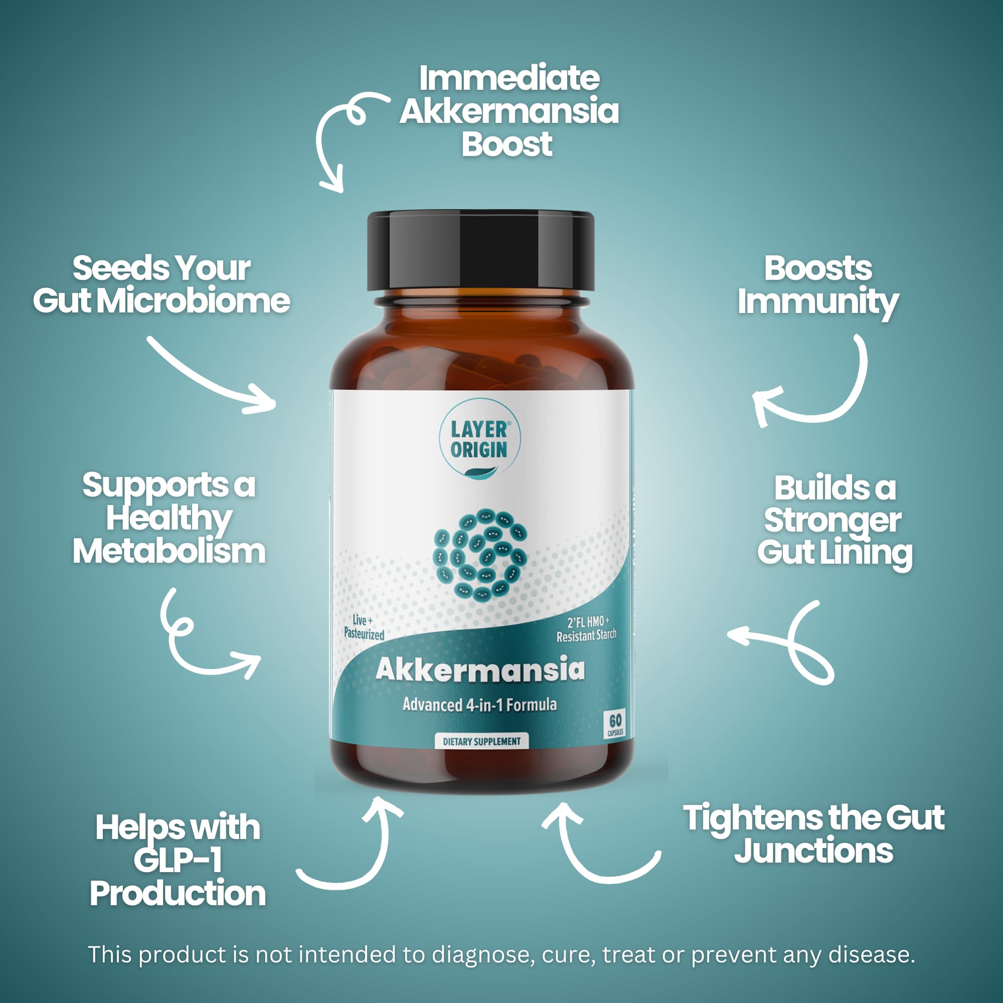 Layer Origin Akkermansia muciniphila Probiotic, with Both Live + Pasteurized Akkermansia and PureHMO Prebiotic, Validated Strain, Updated 4-in-1 Formula