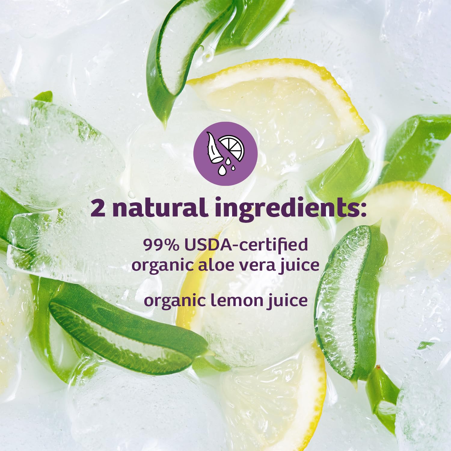 Lily of the Desert Aloe Vera Juice, Whole Leaf Filtered, Organic & Preservative Free – Natural Vitamins, Digestive Enzymes for Gut Health,
