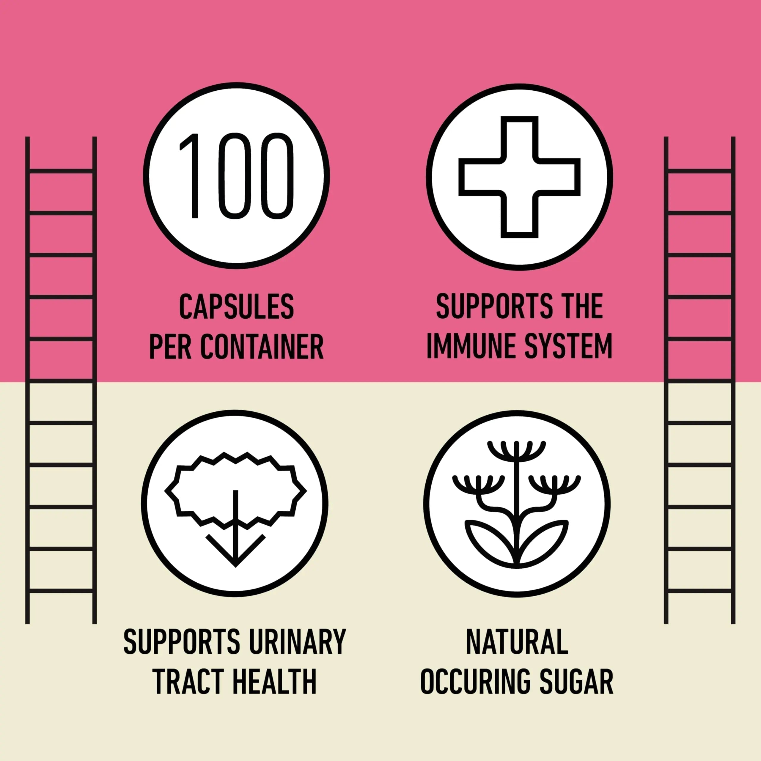 D Mannose 520mg Capsules - Organic D Mannose Supplement for UT Support, Urinary Tract Bladder Health Pills, Plant Based Formula, Vegan Non GMO, No Fillers, 500 Capsule Count Made USA Certified Kosher Complete Natural Products Au supplements
