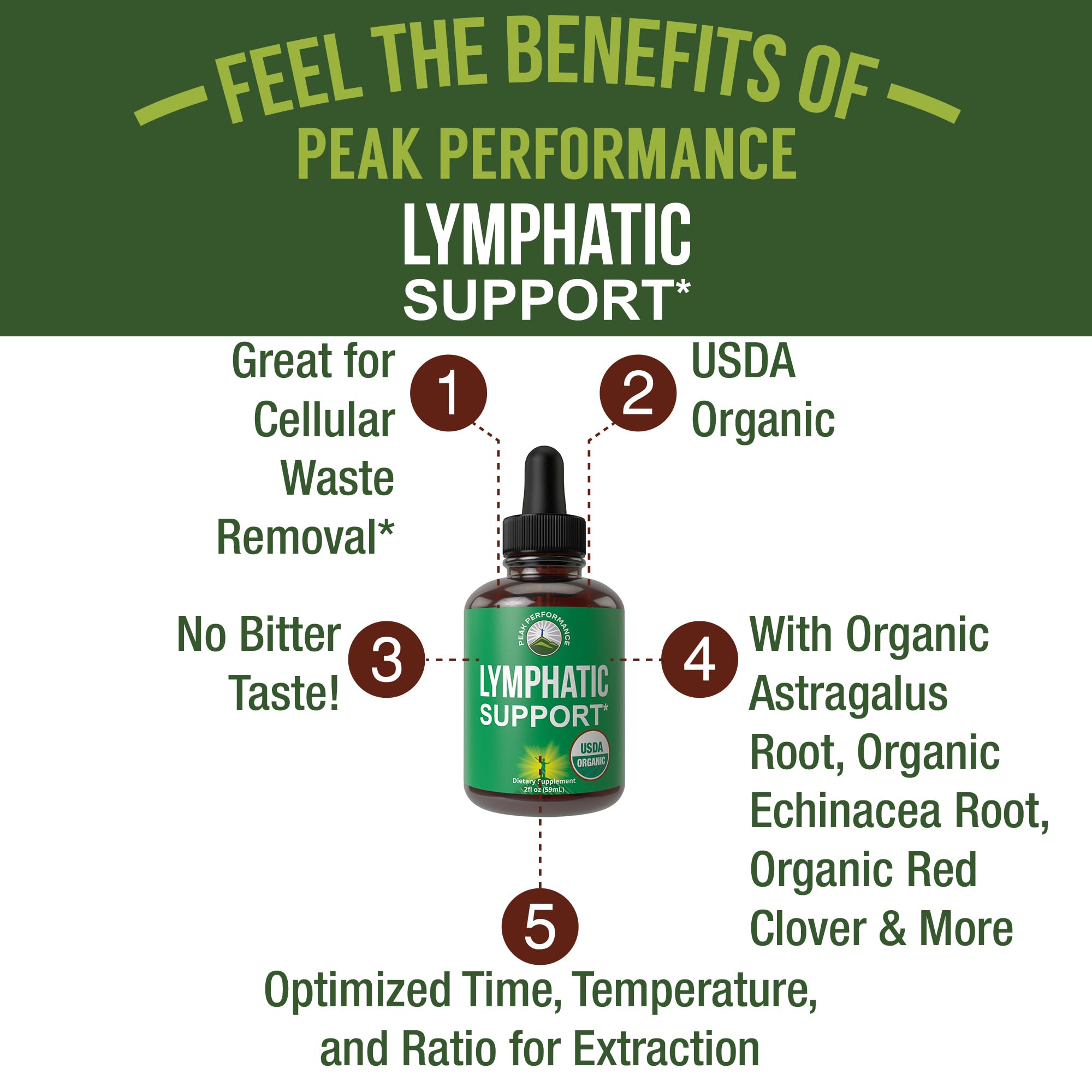 USDA Organic Lymphatic Drainage Drops. Sugar Free, Tasty 6-in-1 Lymph System Support for Detox, Cleanse. Vegan Supplement with Astragalus, Echinacea, Red Clover, Cleavers Herb, Licorice & Burdock Root Peak Performance Au supplements