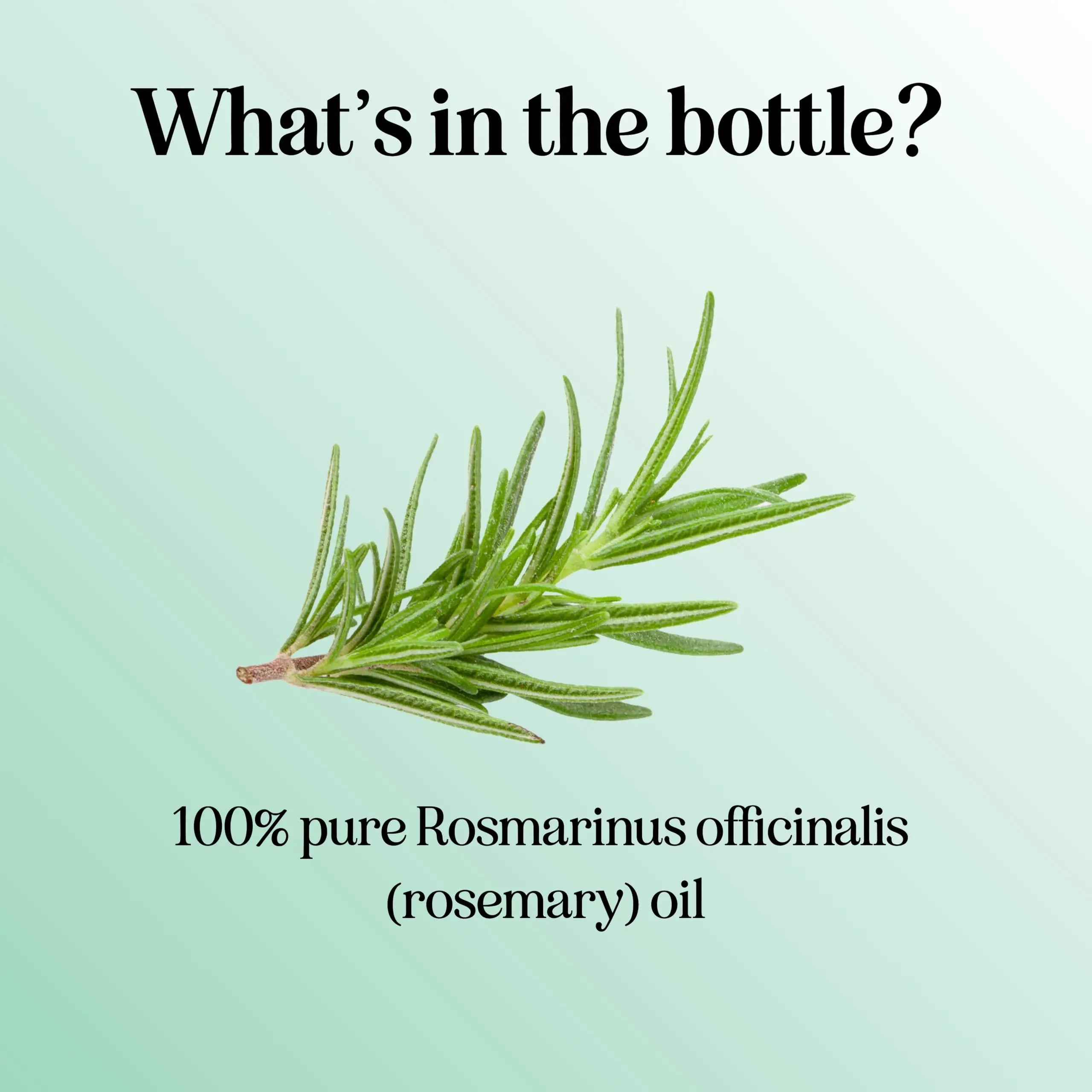 Pure Rosemary Essential Oil for Aromatherapy - Pure Rosemary Oil for Hair Skin and Nails Maple Holistics Au supplements