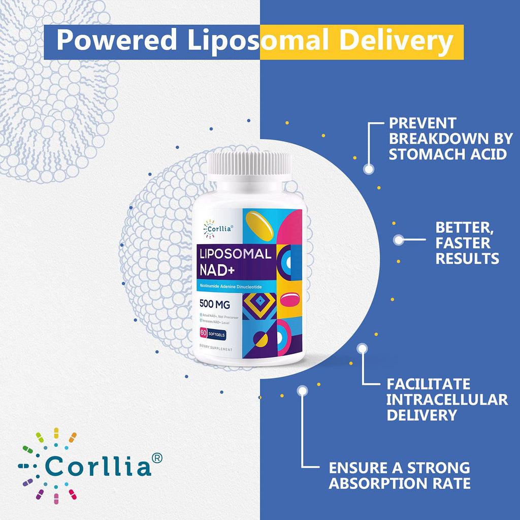 Liposomal NAD+ 500mg with TMG 250mg Softgels, Nicotinamide Riboside Alternative, Actual NAD+ Supplement, 120 Servings Corllia Au supplements