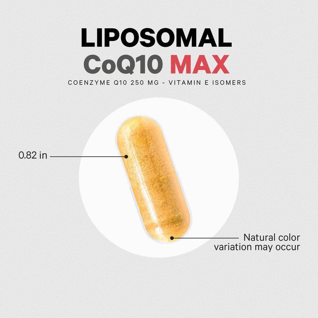 Codeage Liposomal CoQ10 Max Supplement - 250 mg Coenzyme Q10 with Vitamin E Isomers Tocopherols - 2-Month Supply - 1 Capsule Per Serving - Liposomal Delivery - Non-GMO, Gluten-Free - 60 Capsules Codeage Au supplements