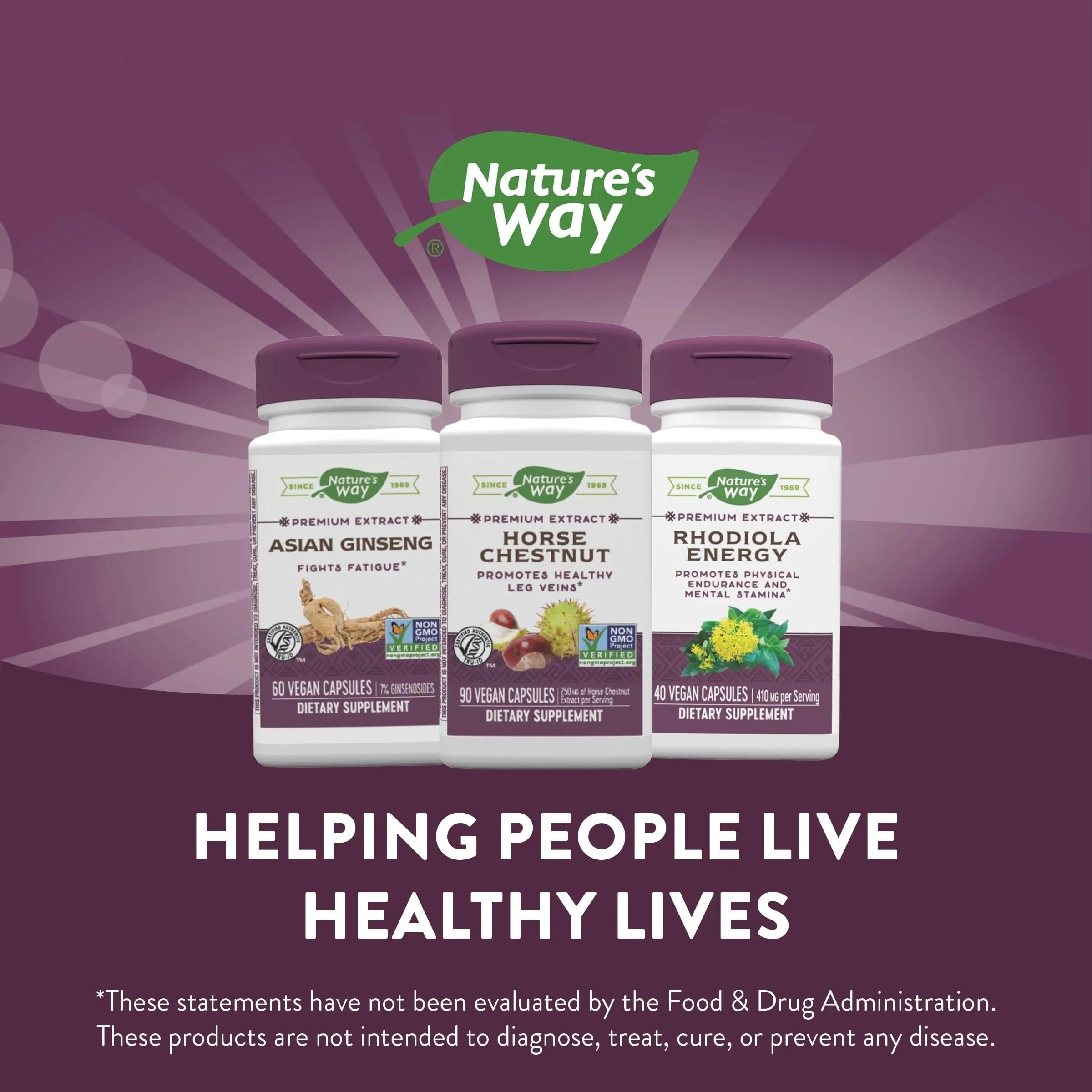 Nature's Way Standardized Horse Chestnut, Premium Extract for Healthy Veins and Blood Nature's Way Au supplements