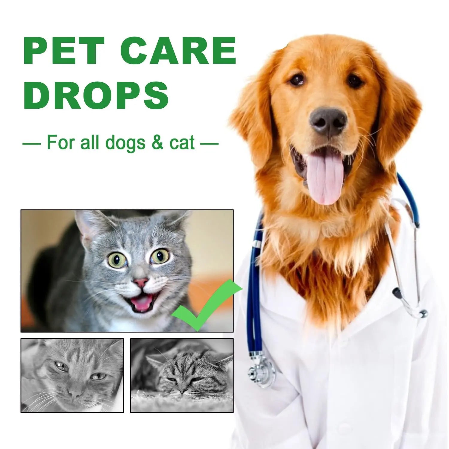 Urinary Tract for Cats, Cat & Dog Urinary Tract Drops Infection Remedy with Cranberry Dog Supplements, Cranberry Kidney Bladder Support Supplement - 60ml / 2 Fl.oz JoanofArc Au supplements