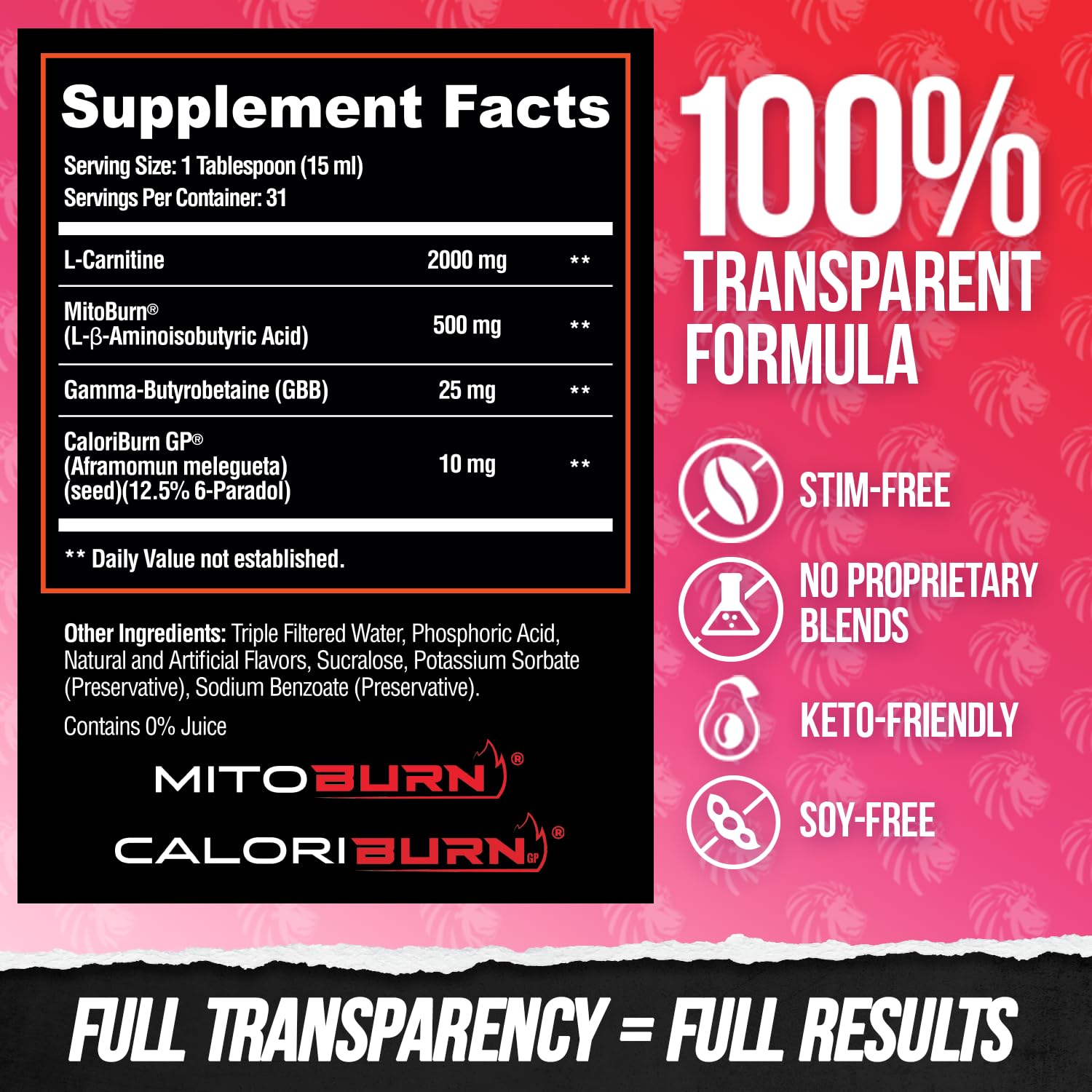 ALPHA LION Burn2O L-Carnitine Liquid 2000mg, Premium Liquid Fat Burner & Pre-Workout Supplement for Men & Women - Natural Energy & Metabolism Booster