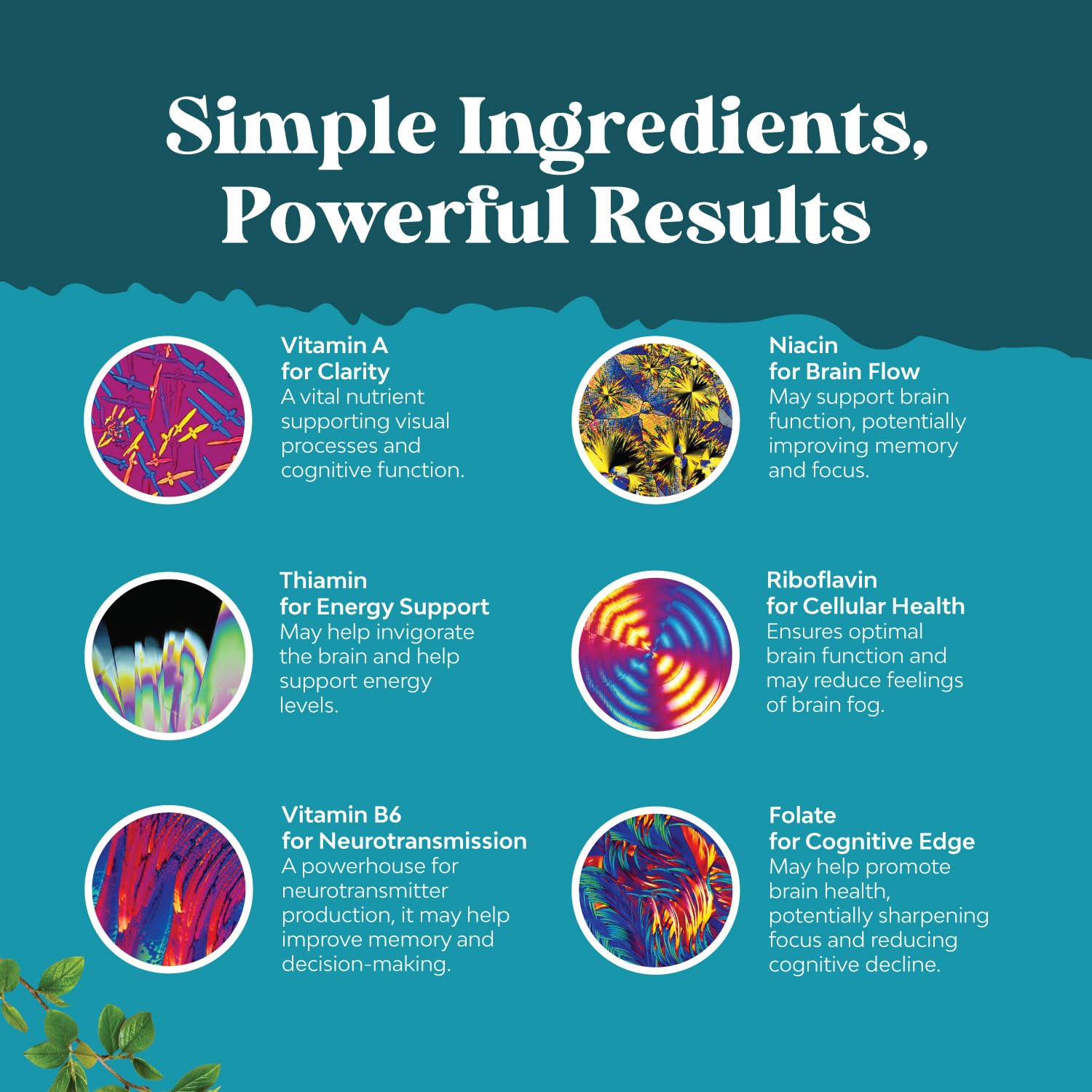 Nootropic Brain Supplement for Memory and Focus Enhancement - Vitamins for Mental Health & Clarity with VIT A, B6, Riboflavin, Niacin, Thiamin & Folate - Cognitive Complex for Mind Vitality - 60 Ct Natures Craft Au supplements