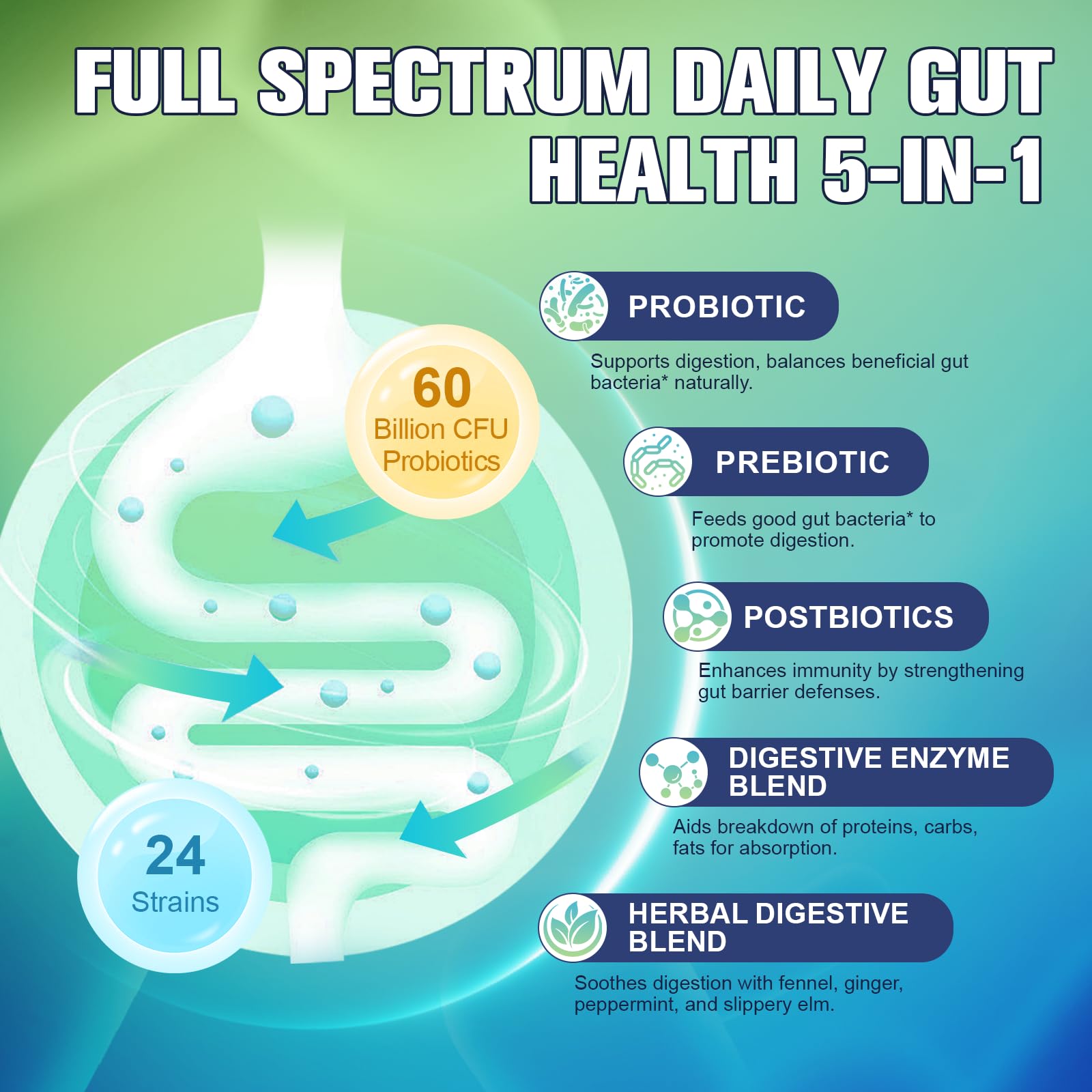 Totaria 5-in-1 60 Billion CFU Probiotic Prebiotic & Postbiotic for Women & Men, w/Digestive Enzymes, Slippery Elm, Daily Complete Gut Health,
