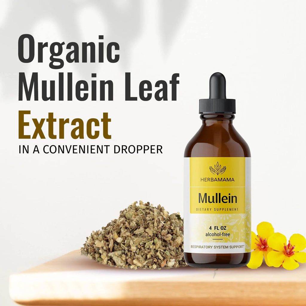 Mullein Leaf Tincture - Lung Cleanse - Vegan Mullein Drops - Lung Detox HERBAMAMA Au supplements
