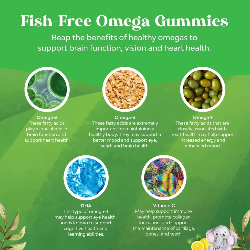 Bundle of Plant Based Kids Multivitamin Gummies with Vitamins A C D3 E B Zinc and DHA Omega 3 Gummies with Vegetarian 6 9 for Vision Brain Immunity Support Natures Craft Au supplements