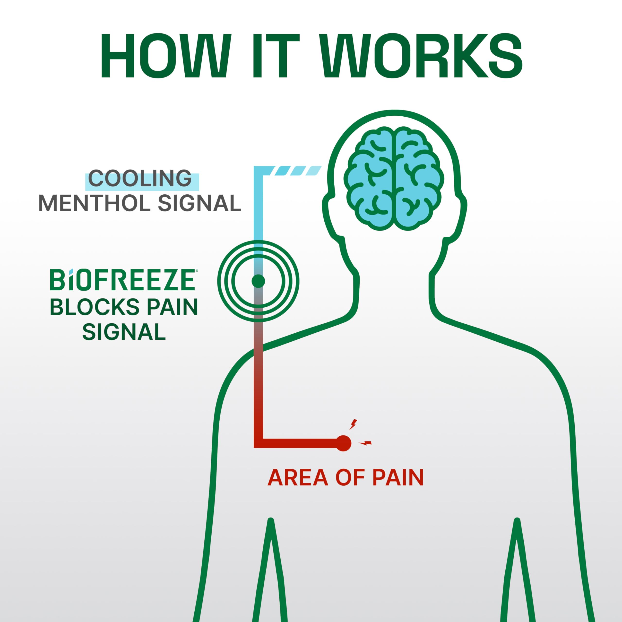 Biofreeze Professional Colorless Pain Relief Roll On, Knee & Simple Backache Relief, Arthritis Pain Reliever, Neck Pain Relief, Cooling Joint Pain Relief, Roll-On Menthol Gel 3 Fl Oz Biofreeze Au supplements