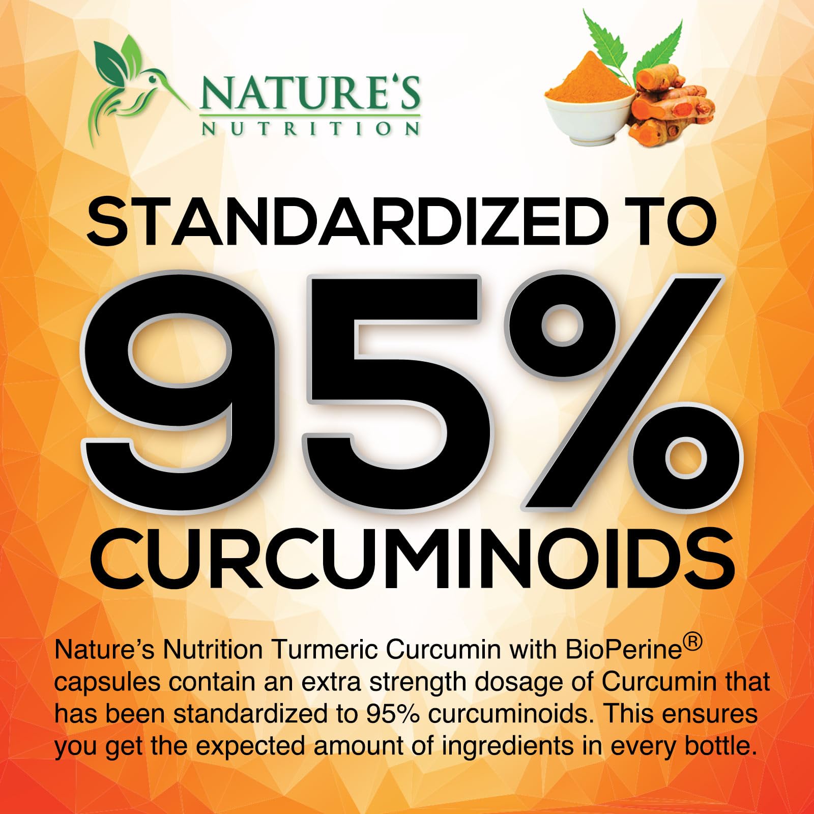 Turmeric Curcumin Supplement - 95% Curcuminoids with Organic Turmeric & BioPerine Black Pepper for Best Absorption - Daily Joint & Immune Health Support