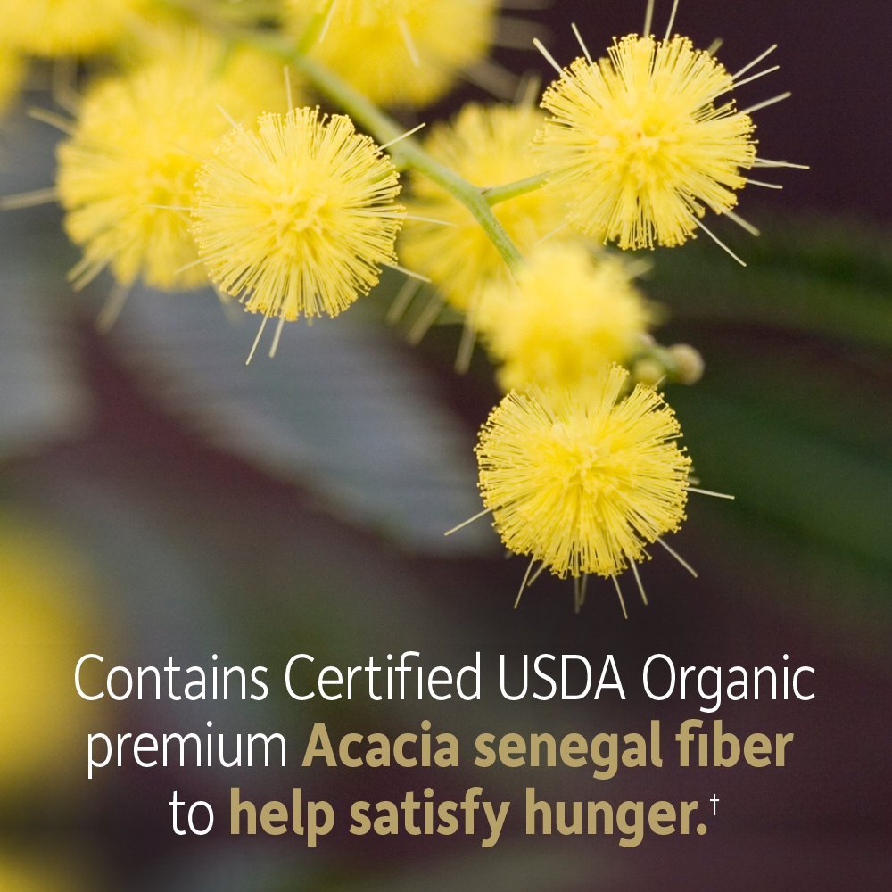 Garden of Life Dr. Formulated Organic Fiber Powder, Unflavored, Prebiotic Superfood Fiber Supplement, Constipation Relief
