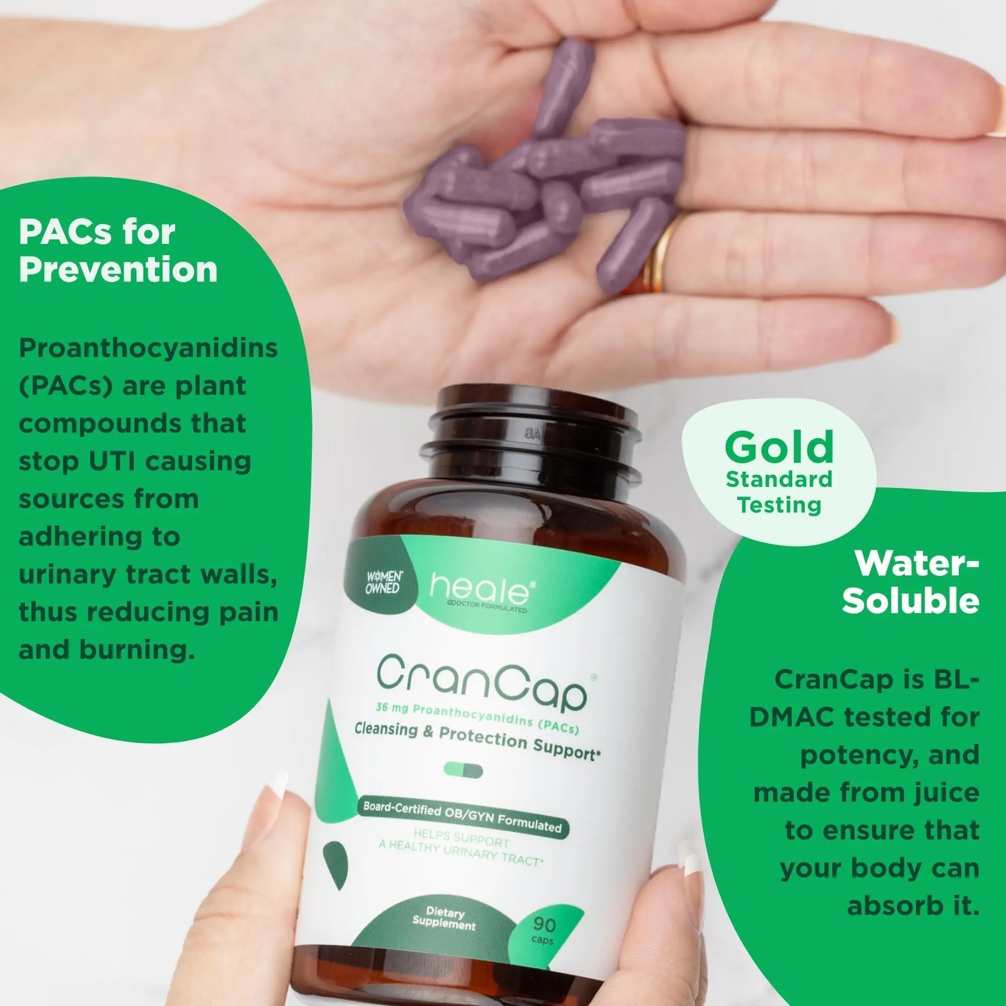 CranCap - Cranberry Pills - Urinary Tract Health Cranberry Supplement - 36mg of Potent PACs - Non GMO, Vegan, Gluten Free - by Heale - 30 Capsules CranCap Au supplements