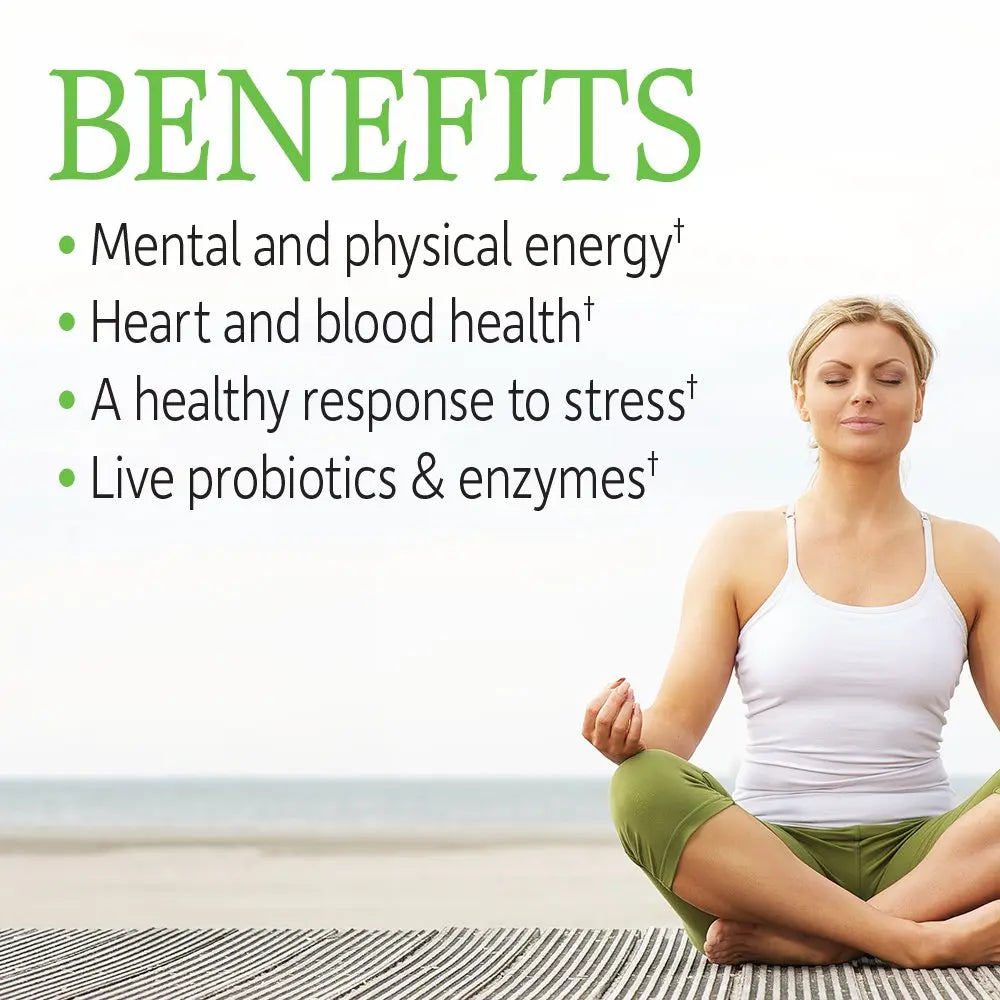 Garden of Life Vitamin B Complex, 120 Vegan Capsules, High Potency Vitamins for Energy & Metabolism with B6, Folate & B12 Garden of Life Au supplements