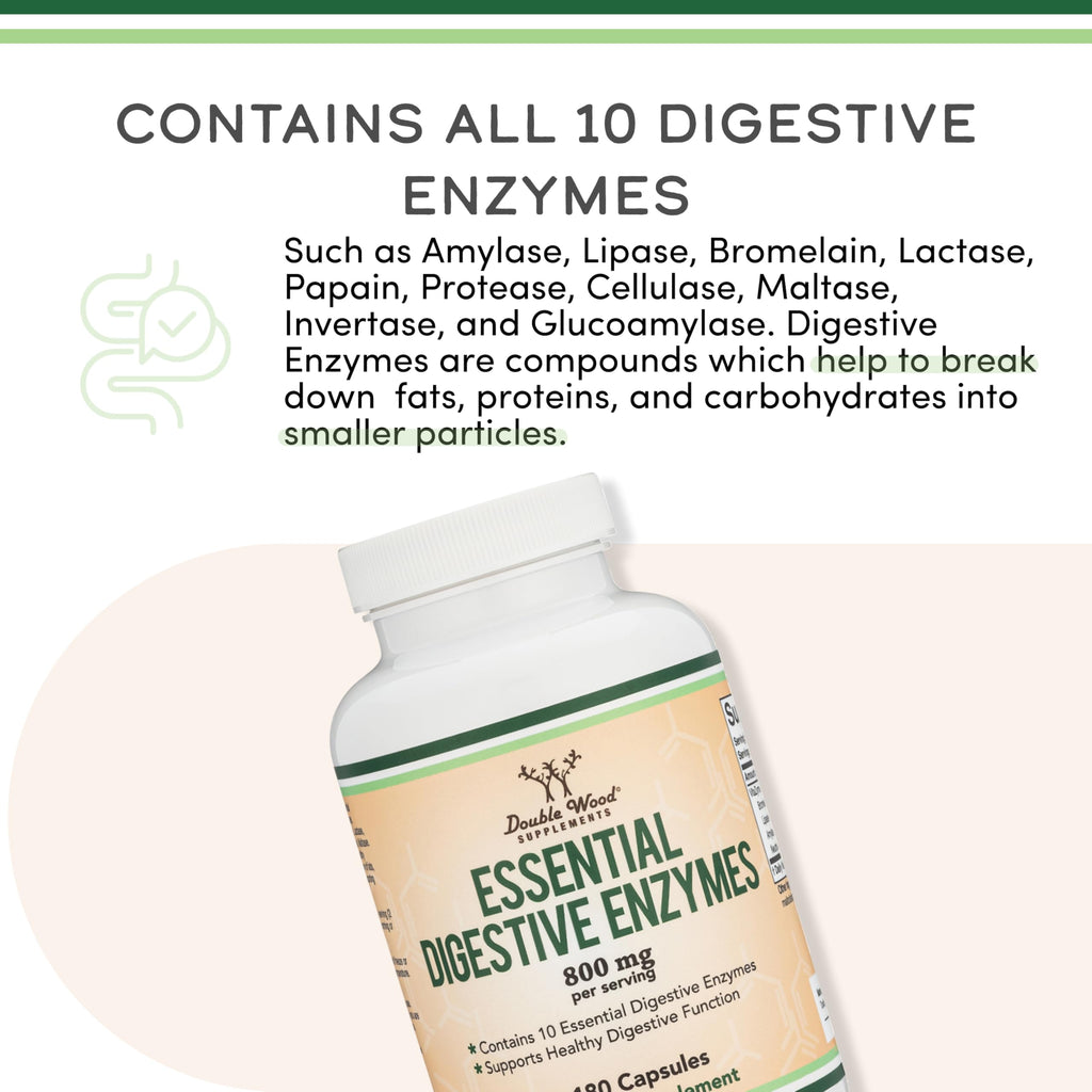 Digestive Enzymes - 800mg Blend of All 10 Most Essential Digestive and Pancreatic Enzymes (Amylase, Lipase, Bromelain, Lactase, Papain, Protease