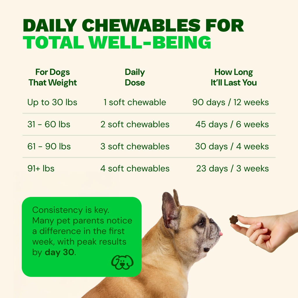 Get Joy Digestion Chews, Gut Health Supplement for Dogs, Vet Recommended Soft Daily Digestive Health & Immune Support with Prebiotics, Probiotics & Postbiotics, Made in USA, 90 Count Get Joy Au supplements