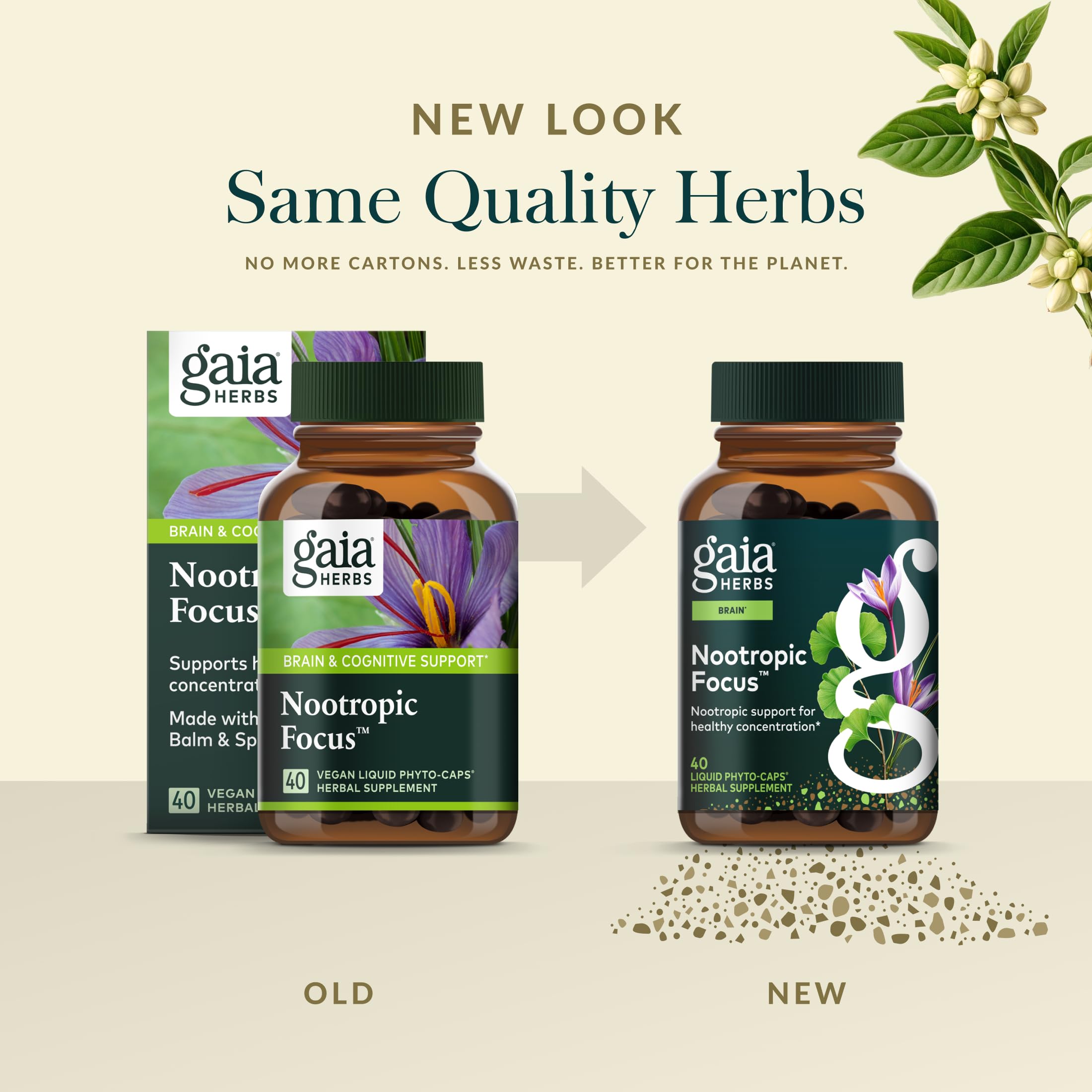 Gaia Herbs Nootropic Focus - Brain & Cognitive Support Supplement to Help Maintain Healthy Concentration* - with Saffron, Lemon Balm & Spearmint - 40 Liquid Phyto-Capsules (20 Servings) Gaia Herbs Au supplements