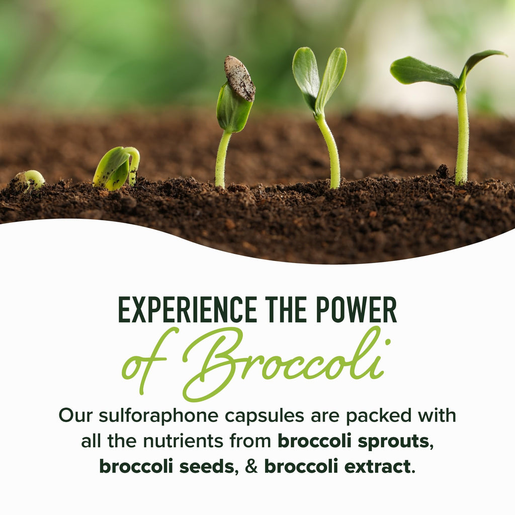 50MG Sulforaphane Supplement from Broccoli Sprouts | NRF2 Activation, Cellular Health & Immune Support | Glucoraphanin, Myrosinase & Antioxidants | Third-Party Tested