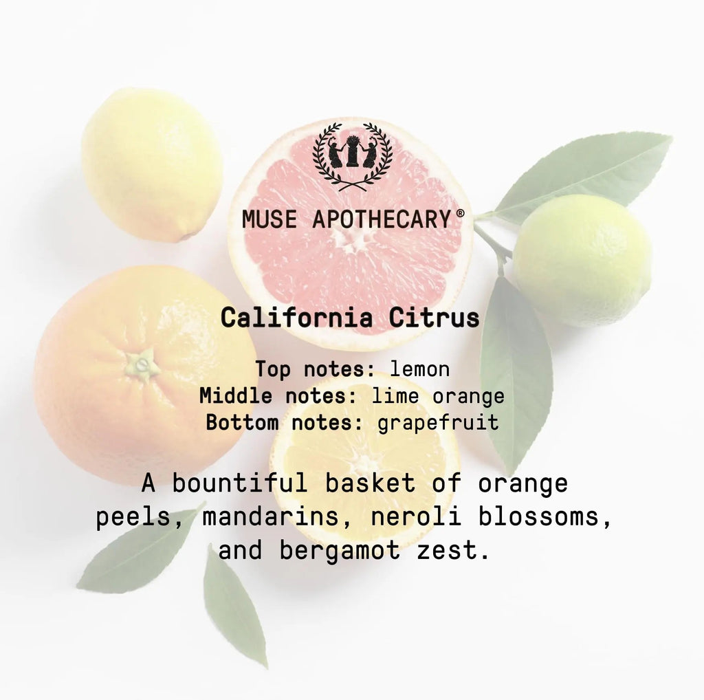 Muse Bath Apothecary Room Ritual - Aromatic and Relaxing Room Mist, 8 oz, Infused Muse Apothecary Au supplements