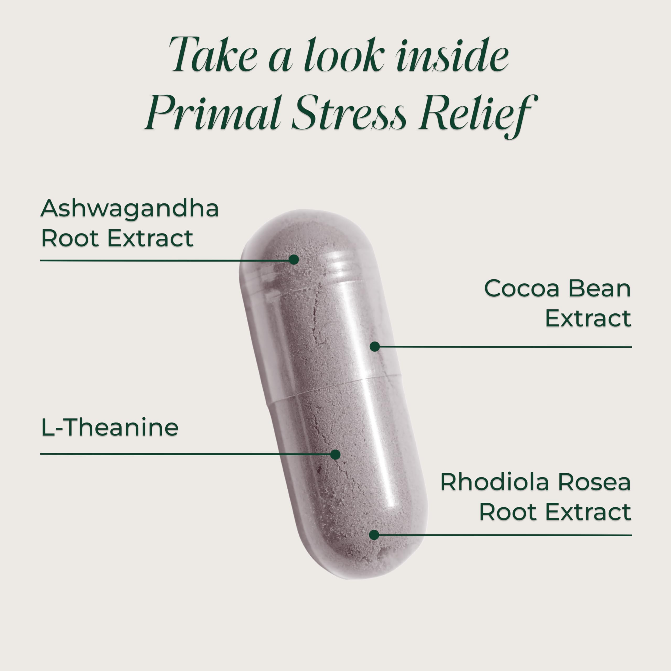 Primal Harvest Stress Relief Supplement for Women and Men Pure Ashwagandha Root Extract, L-Theanine Supplements, 30 Capsules Primal Harvest Au supplements