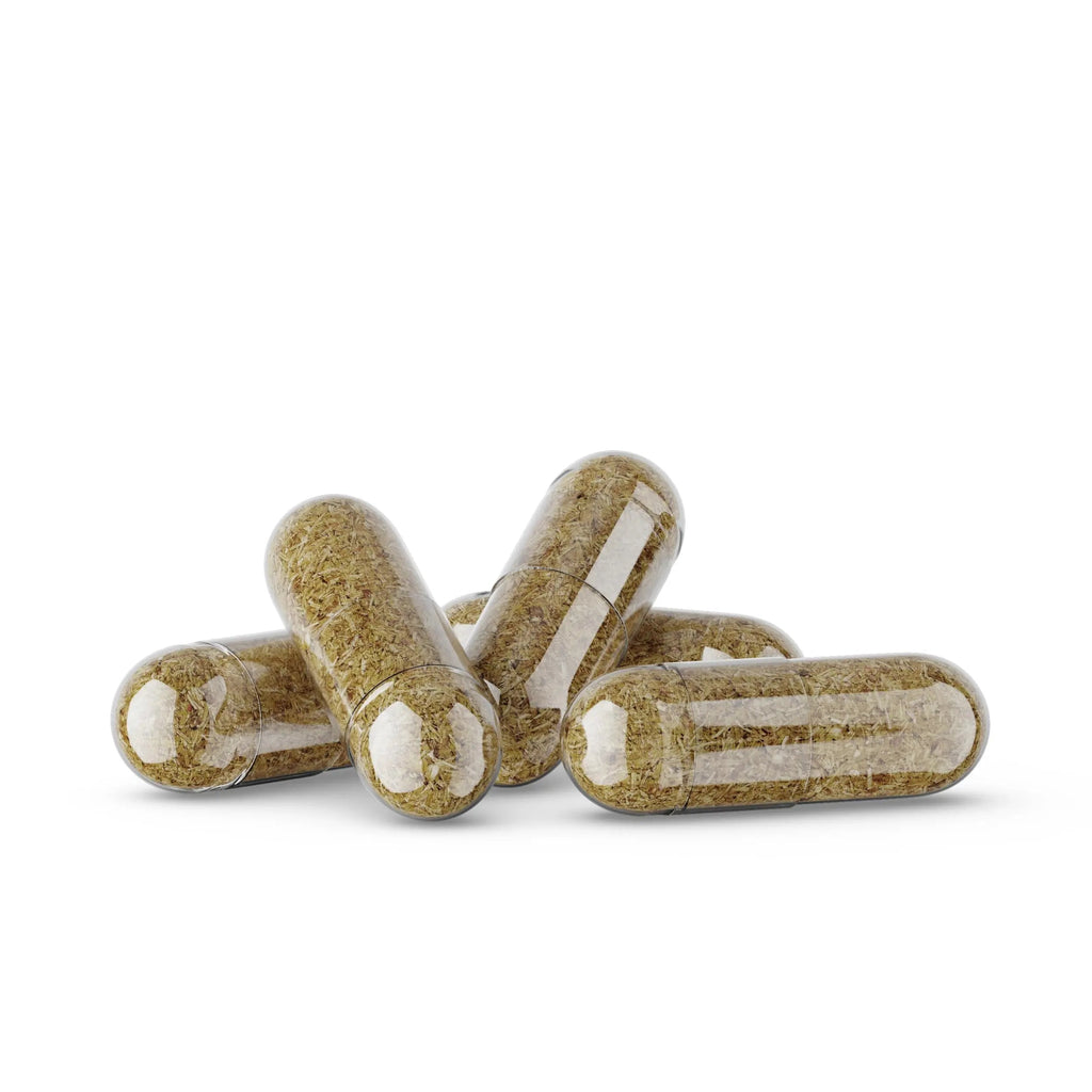 Germa Chanca Piedra Supplement – 500mg Phyllanthus Niruri – Traditional Stone Breaker Herb for Urinary & Kidney Support – Rainforest Botanical – 100% Natural Vegan Capsules, 100 Count Germa Au supplements