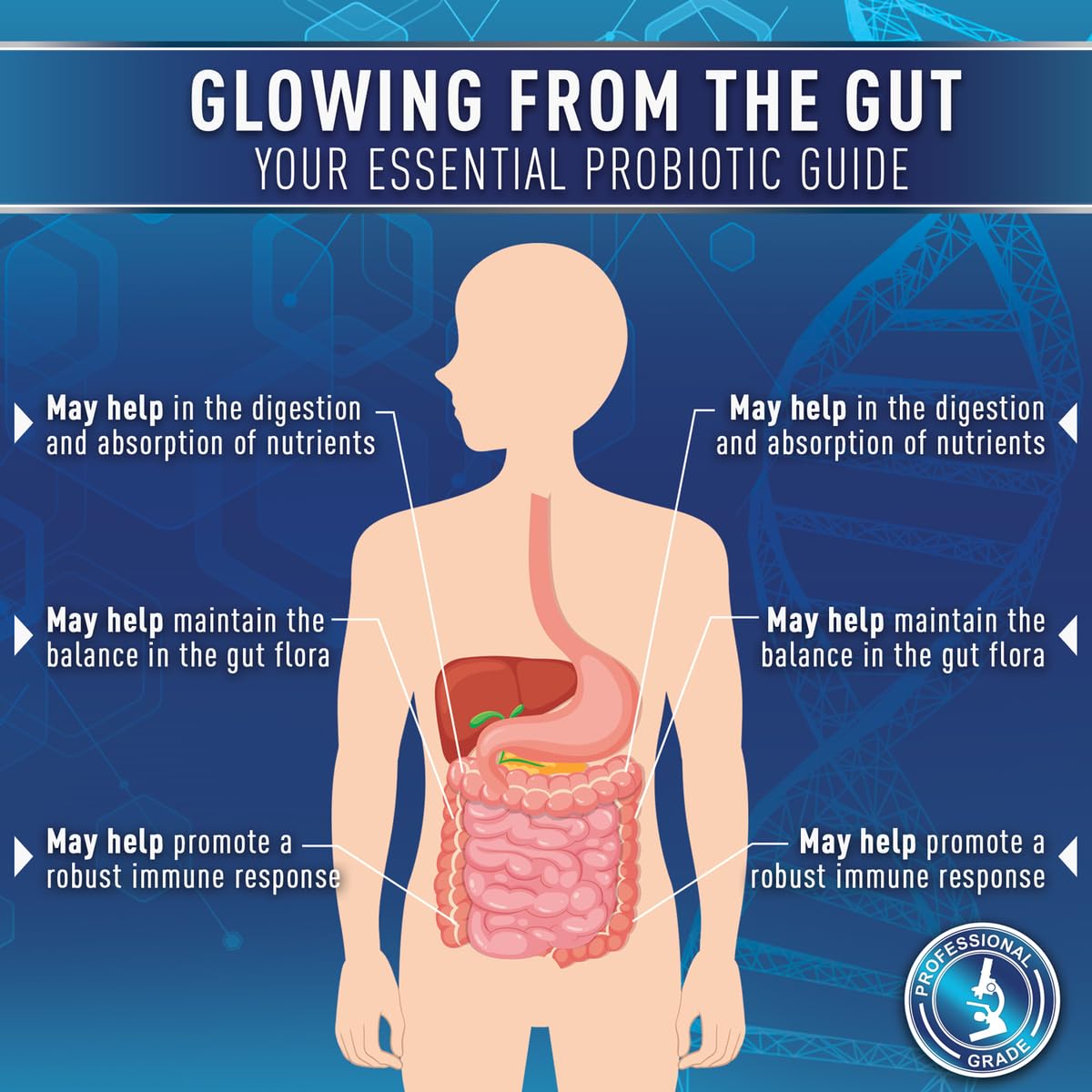 Purely Optimal Probiotics for Digestive Health, 60 Billion CFU – Delayed-Release with Digestive Enzymes & Organic Prebiotics – Bloating, Immune & Energy Support, 30 Caps Purely Optimal Au supplements