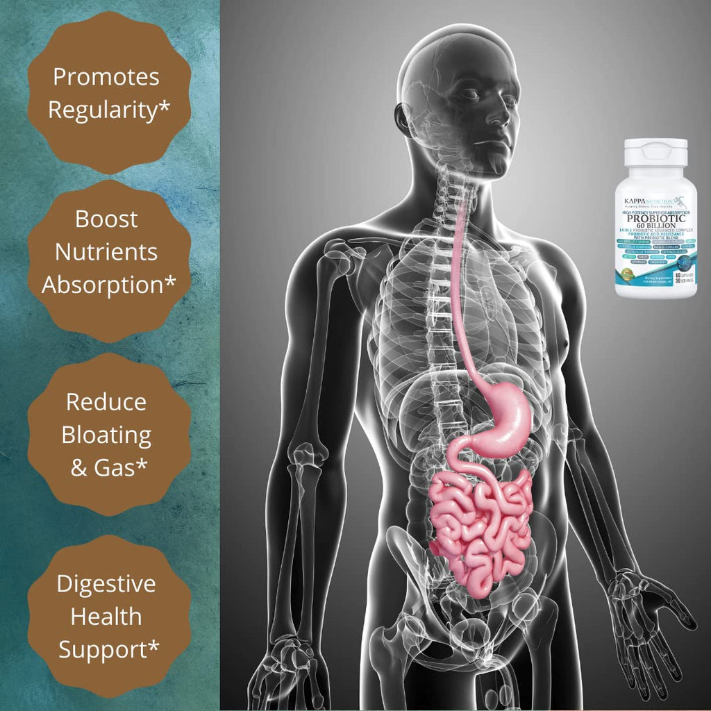 KAPPA NUTRITION Probiotic 60 Billion CFU 14 in 1 Formula with Prebiotics & Acidophilus for Women, Men & Adults, Shelf Stable, Acid Resistant