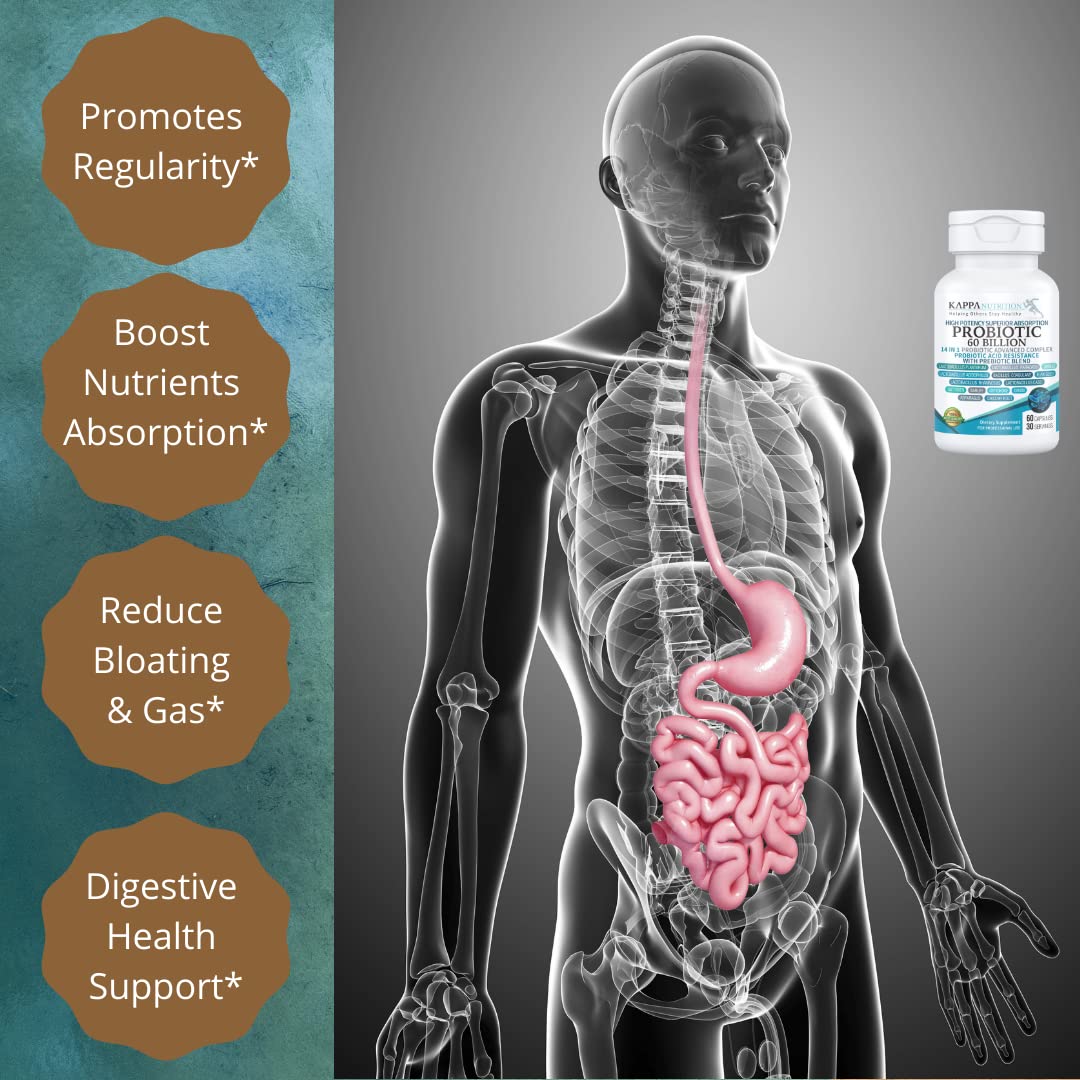 KAPPA NUTRITION Probiotic 60 Billion CFU 14 in 1 Formula with Prebiotics & Acidophilus for Women, Men & Adults, Shelf Stable, Acid Resistant