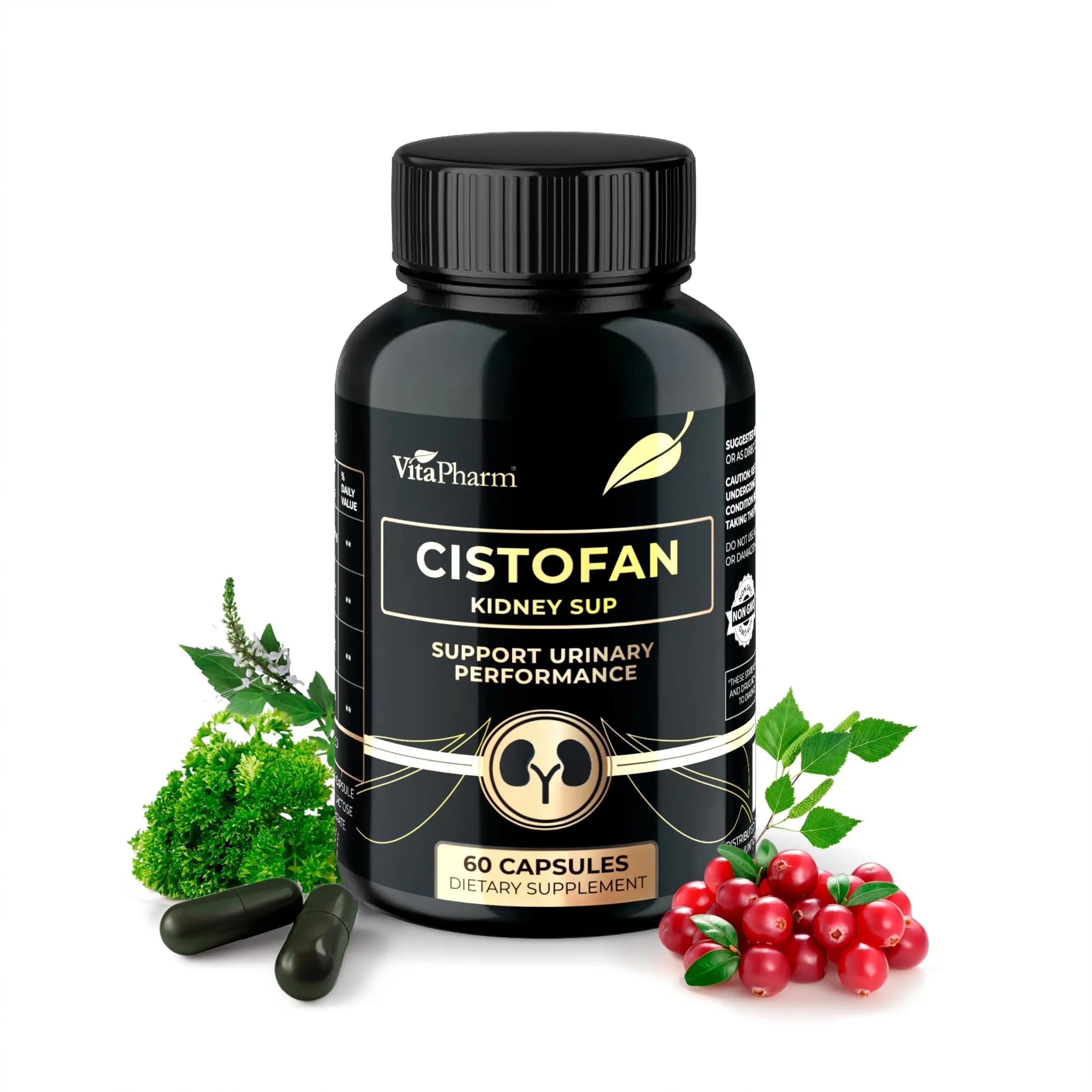 CISTOFAN Kidney Support Supplement – Herbal Formula with Java Tea, Birch Leaf, Parsley & Cranberry – Supports Urinary Tract & Kidney Function – Natural Diuresis – 60 Capsules – Non-GMO – Made in EU VitaPharm Au supplements