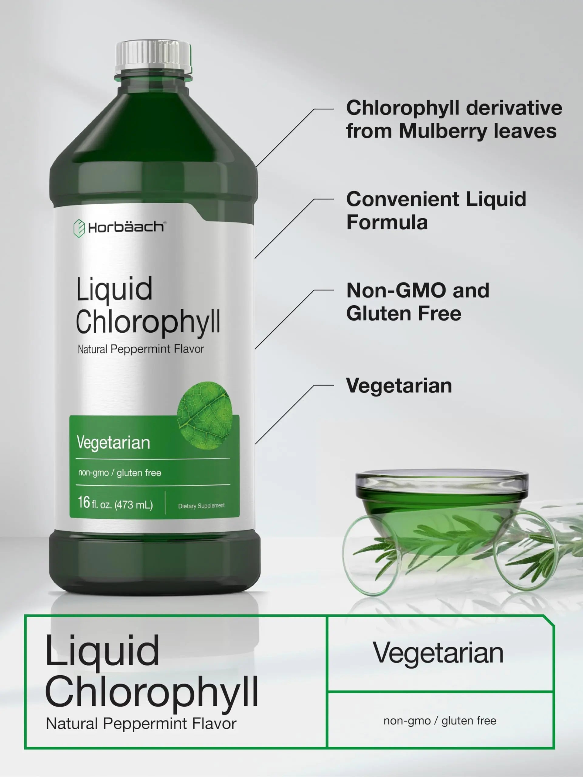 Chlorophyll Liquid Drops 100mg | 32 oz (2 x 16 oz Bottles) | Natural Peppermint Flavor Horbäach Au supplements