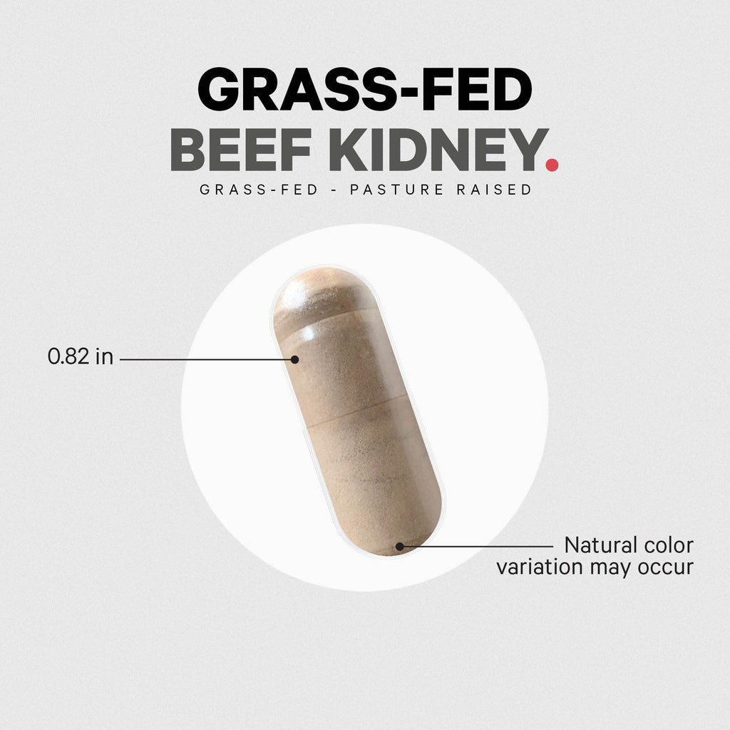 Codeage Grass Fed Beef Kidney Supplement - Freeze Dried, Non-Defatted, Desiccated Glandulars Nutrition Bovine Pills – Pasture Raised Beef Vitamins - Non-GMO -180 Capsules Codeage Au supplements