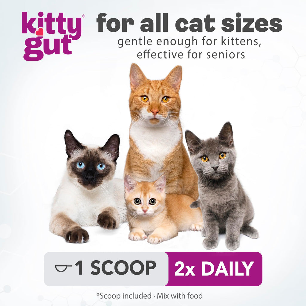 KittyGut 3-in-1 Organic Cat Probiotics & Postbiotic Supplement Powder- Made in USA-Probiotics for Cats Promote Gut Health and Cat Digestive Support, Diarrhea and Vomiting (60g) MUTTGUT Au supplements