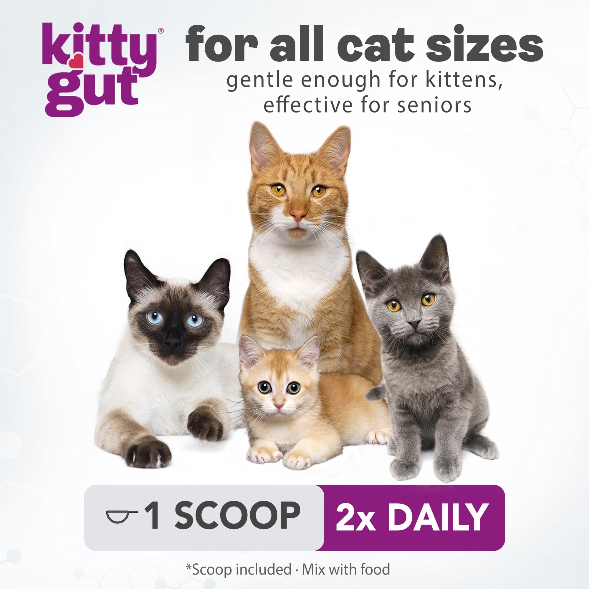KittyGut 3-in-1 Organic Cat Probiotics & Postbiotic Supplement Powder- Made in USA-Probiotics for Cats Promote Gut Health and Cat Digestive Support, Diarrhea and Vomiting (60g) MUTTGUT Au supplements