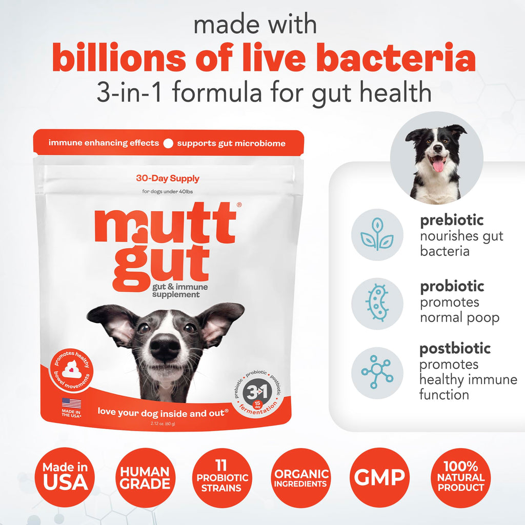 All-Natural 3-in-1 Dog Probiotic, Prebiotic, and Postbiotic Supplement Powder - Probiotics for Dogs with 135 Billion CFUs, Anti Diarrhea, Digestive Enzymes & Antioxidants (60g) MUTTGUT Au supplements