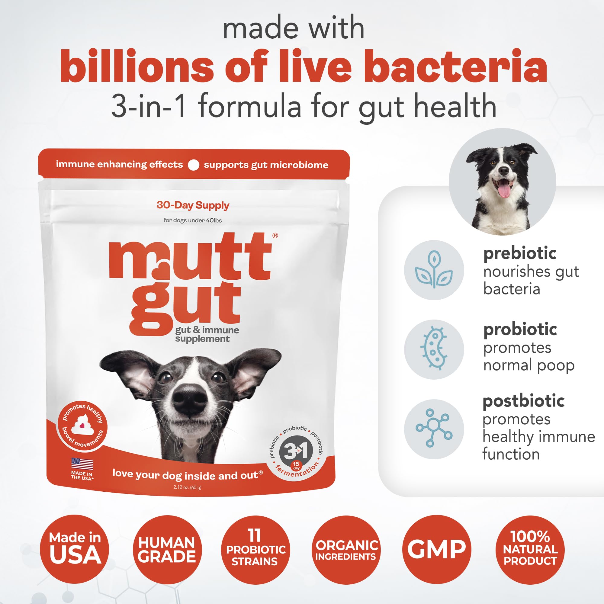 All-Natural 3-in-1 Dog Probiotic, Prebiotic, and Postbiotic Supplement Powder - Probiotics for Dogs with 135 Billion CFUs, Anti Diarrhea, Digestive Enzymes & Antioxidants (60g) MUTTGUT Au supplements