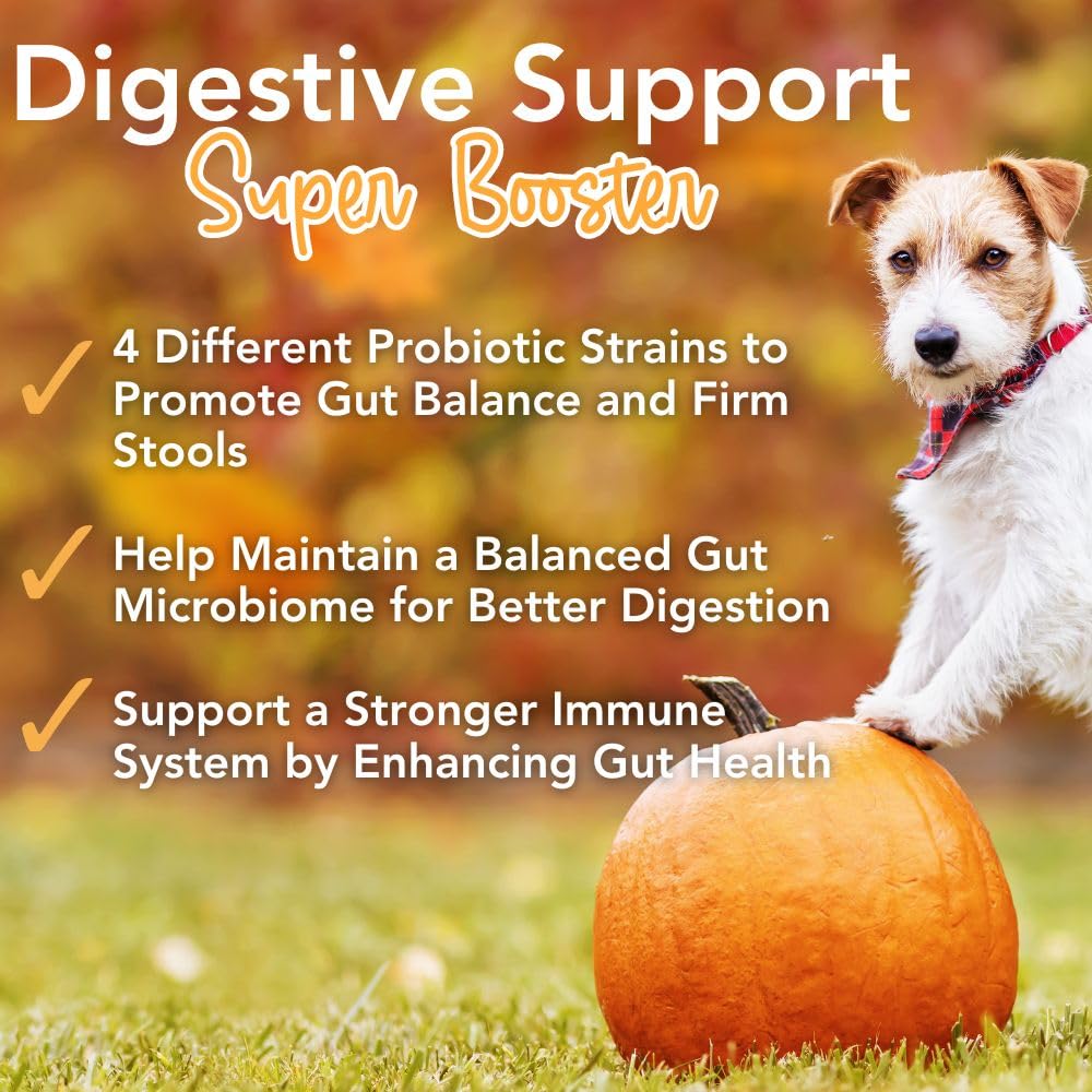iHeartDogs Pupkin Probiotics, Prebiotics, Postbiotics, & Fiber for Dogs with Pumpkin, Gut Soothing Bone Broth & Mushrooms iHeartDogs Au supplements