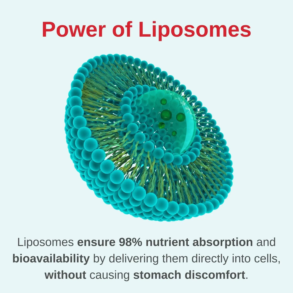 Vitaminally Liposomal Women's Liquid multivitamin Iron Free Drops| Sugar Free | Non-GMO | Gluten Free | Supports Immune System, Bone Health and Energy Metabolism Vitaminally Au supplements