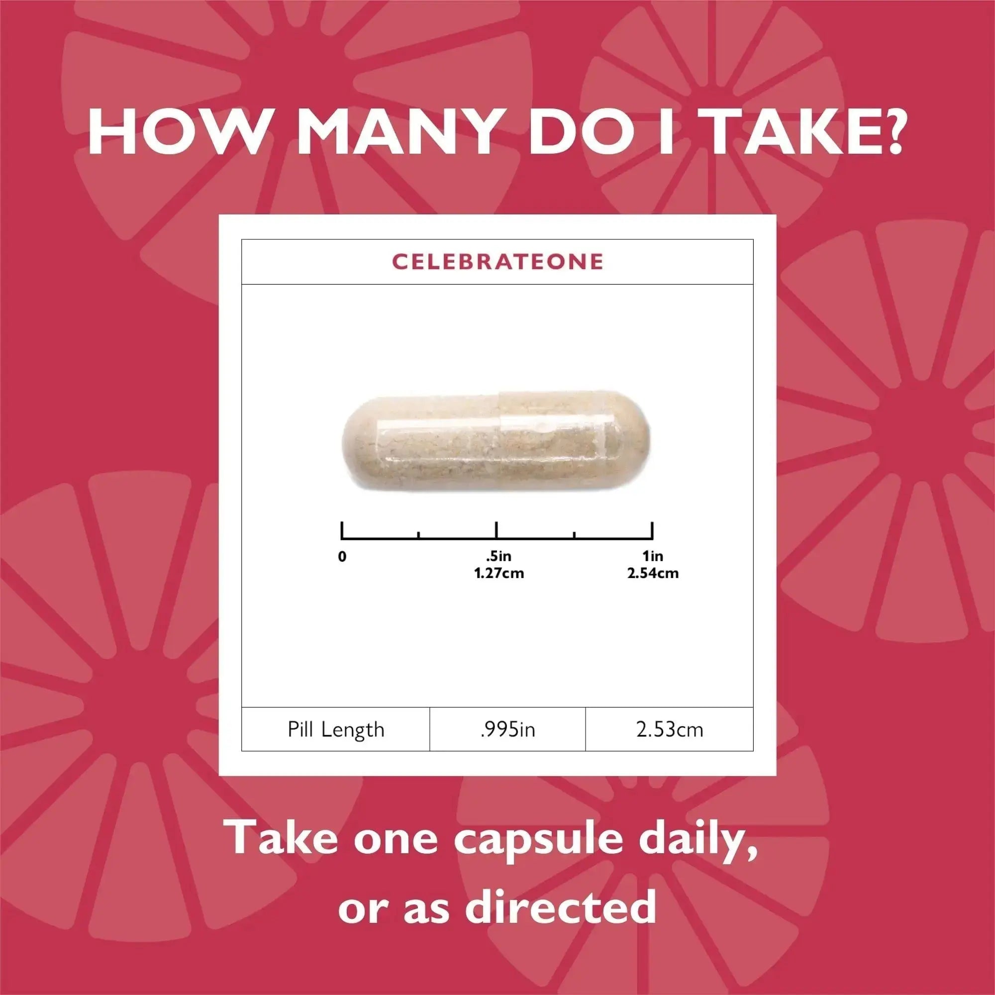 Celebrate Vitamins CelebrateONE, Iron Free - Once Daily Bariatric Multivitamin, Essential Vitamins & Minerals Celebrate Bariatric Supplements Au supplements