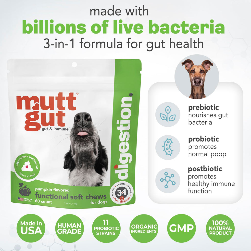 MuttGut® 3-in-1 Puppy & Dog Probiotics + Prebiotics + Postbiotics Chews - Promotes Digestive Health, Supports Immune System and Overall Health - Dog Diarrhea Relief & Immune Support - 60 Soft Chews MUTTGUT Au supplements