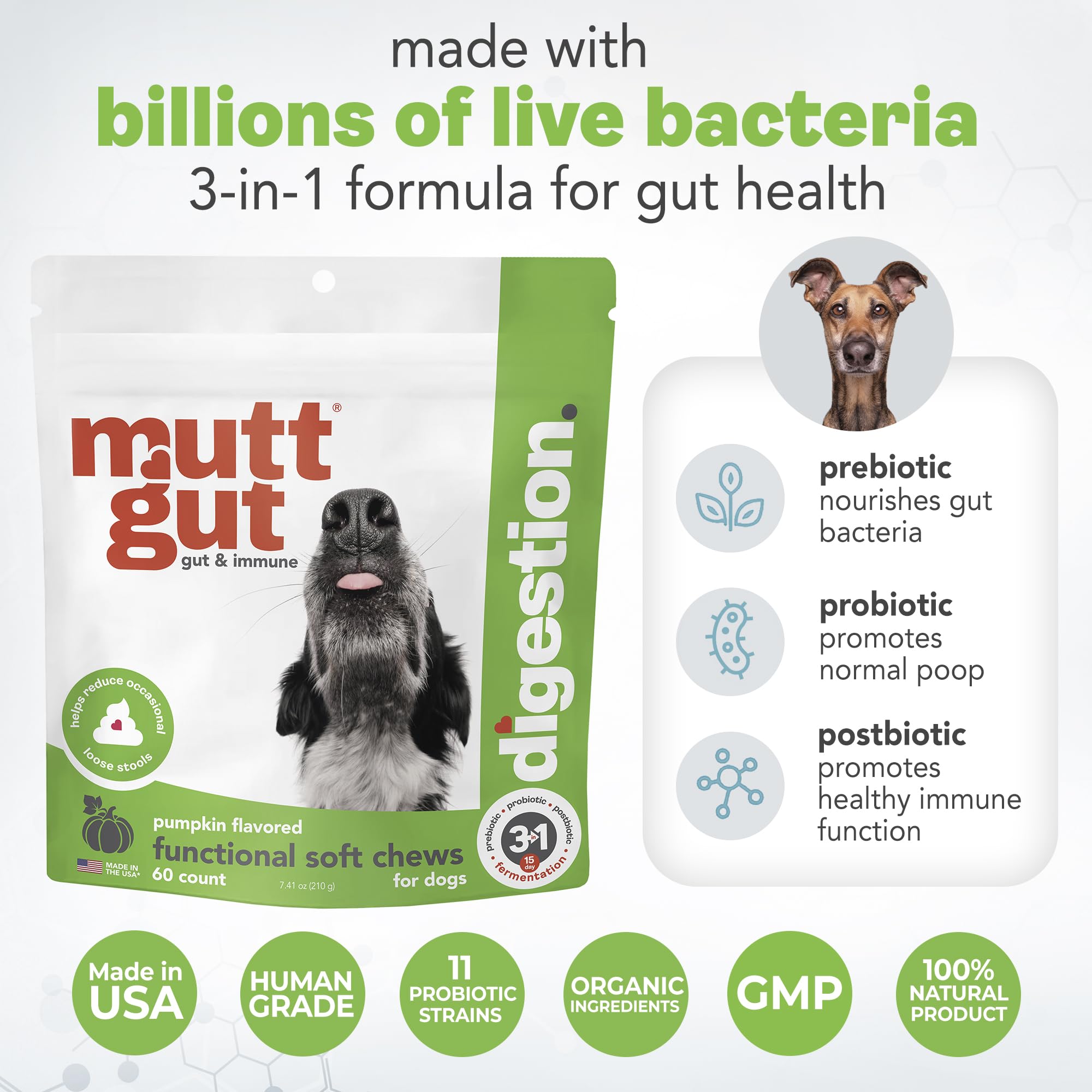 MuttGut® 3-in-1 Puppy & Dog Probiotics + Prebiotics + Postbiotics Chews - Promotes Digestive Health, Supports Immune System and Overall Health - Dog Diarrhea Relief & Immune Support - 60 Soft Chews MUTTGUT Au supplements