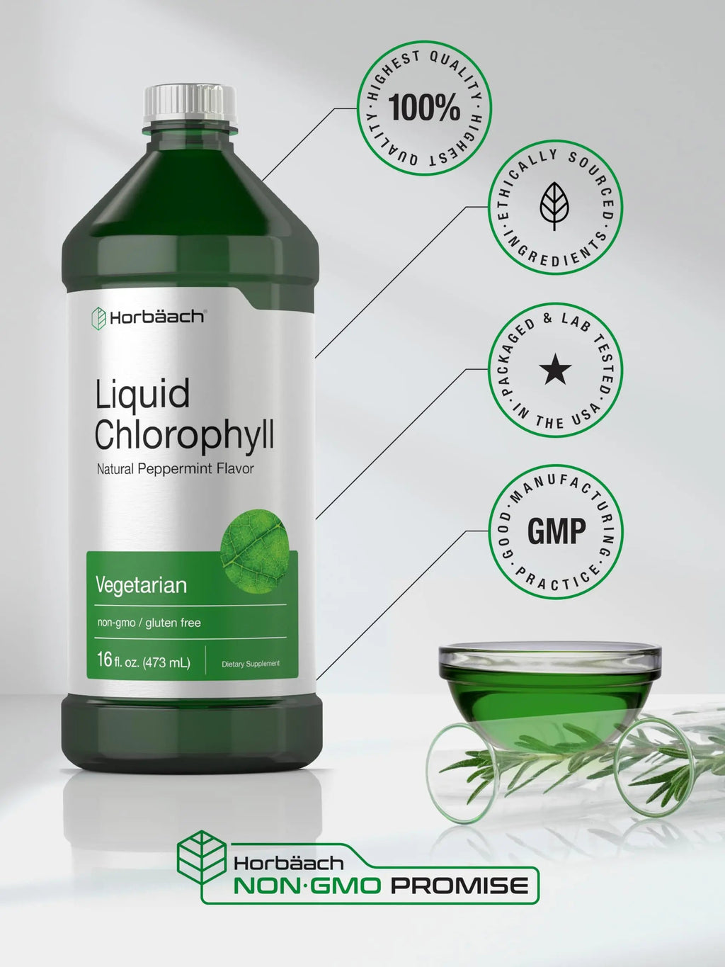 Chlorophyll Liquid Drops 100mg | 32 oz (2 x 16 oz Bottles) | Natural Peppermint Flavor Horbäach Au supplements
