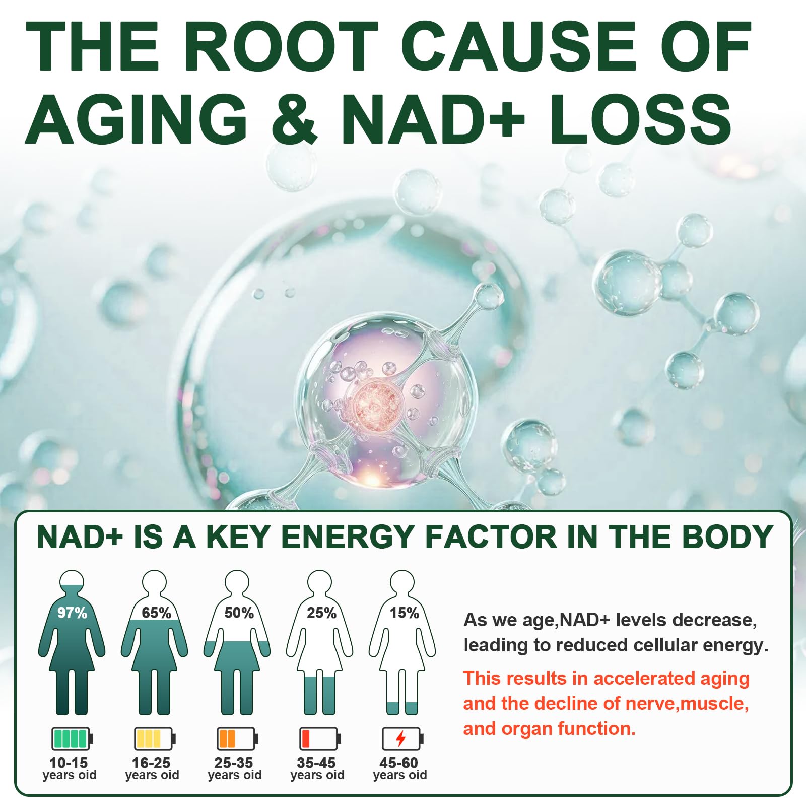 Vikaywoo NAD Supplement 1585 Mg -True NAD & Resveratrol, NMN Alternative Liposomal NAD+ for Women & Men, Support Cellular Health, Stamina & Healthy Aging - 120 Capsules Vikaywoo Au supplements