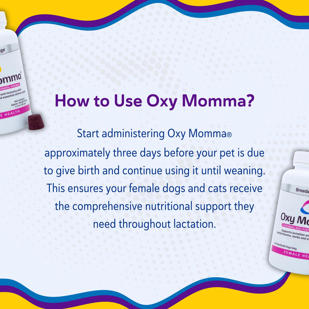 Breeder's Edge Oxy Momma Soft Chews, Postnatal Vitamin Supplement for Lactating Dogs and Cats, Supports Recovery, Hormones, and Next Pregnancy - for Small Dogs & Cats, 40ct Soft Chews Revival Animal Health Au supplements